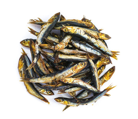 Anchovy fishes smoked, isolated on whiteの写真素材