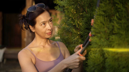 Woman holding hedge trimmer cutting green bush, female cutting bushes middle shot. Asian woman cutting bush at the backyard of the private house at the sunsetの写真素材