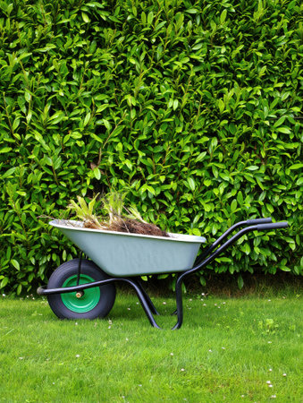 A wheelbarrow brimming with soil and various plants rests on vibrant green grass beside a neatly trimmed hedgerow. The warm sunlight enhances the serene garden atmosphere..の素材