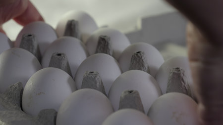 Close-up of hands carefully selecting fresh white eggs from a carton, showcasing the smooth texture of the eggs and the soft lighting that enhances the scenes warmth and freshnessの写真素材