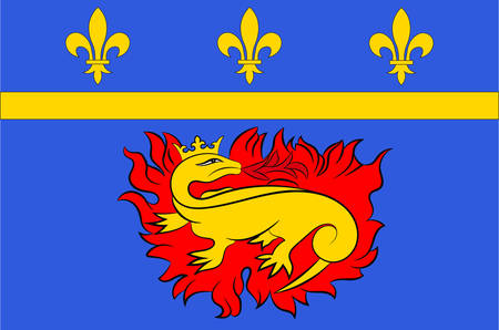 Flag of Vitry-le-Francois is a commune in the Marne department in north-eastern France Vector illustrationのイラスト素材