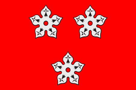 Flag of Ancenis is a commune in the Loire-Atlantique department in western France. Vector illustrationのイラスト素材