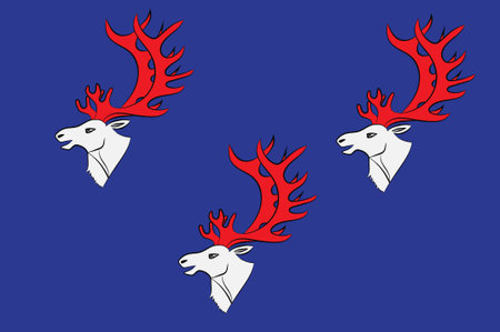 Flag of Umea is a capital city of Vasterbotten County in the north of Sweden. 3d illustrationの写真素材