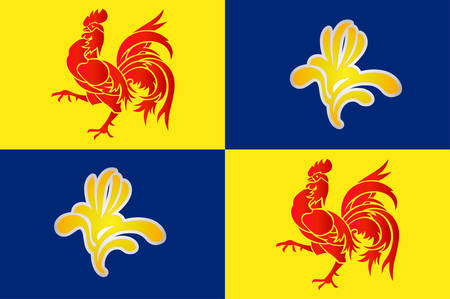 Flag of Wallonia is a region of Belgium. Vector illustrationのイラスト素材