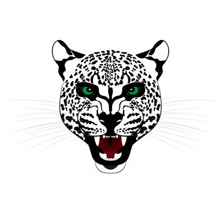 Head of roaring jaguar. Vector illustrationのイラスト素材