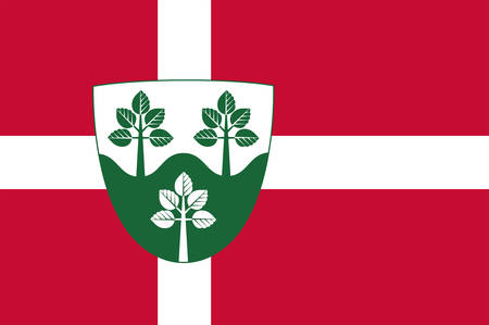 Flag of Rebild municipality is a municipality in North Jutland Region in Denmark. Vector illustrationのイラスト素材