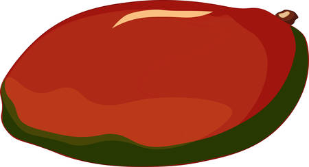 Mango isolated on white background. Vector illustrationのイラスト素材