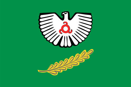Flag of Nazran is a town in the Republic of Ingushetia, Russia. Vector illustrationのイラスト素材