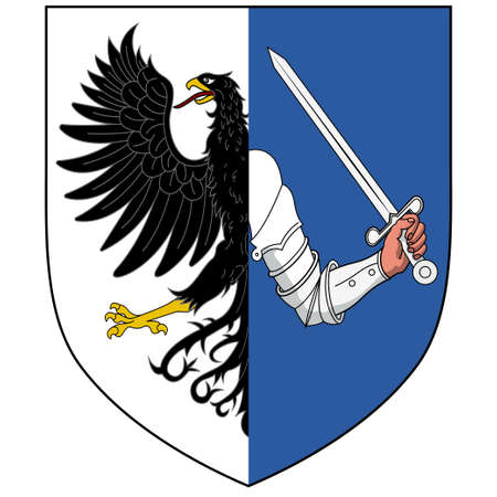 Flag of County Galway is a county in Ireland. Vector illustrationのイラスト素材