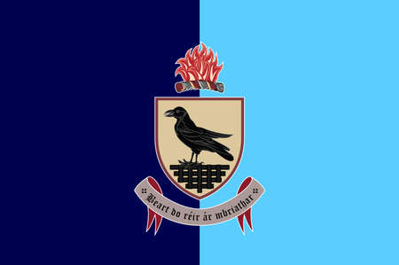 Flag of County Galway is a county in Ireland. Vector illustrationのイラスト素材