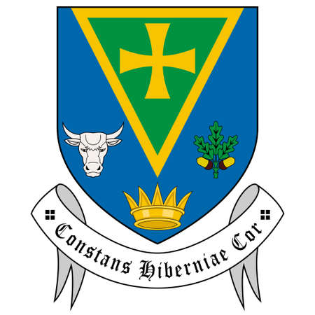 Flag of County Galway is a county in Ireland. Vector illustrationのイラスト素材