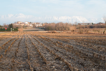 A look from the hills. The first snow in mountainsの写真素材