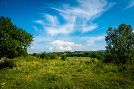 Landscape with trees and cloudsの写真素材