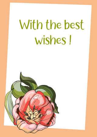 Rectangular postcard with tulips. A flower in a geometric frame of pink and peach color. A gift for your loved ones and loved ones. Mother's Day, March 8, Easter, Wedding, Valentine's Day. Framed tulipの写真素材