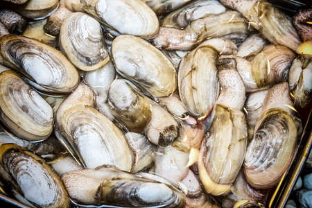 Impressions from a fish market in Hong Kong, Chinaの写真素材