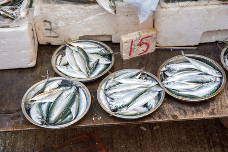 Impressions from a fish market in Hong Kong, China