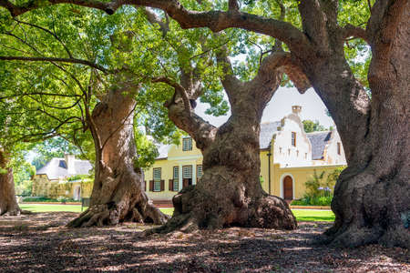 Somerset West, South Africa - January 30. 2020: The Vergere Wine Estate is located at Somerset West in South Africa. A bistro and restaurant are attached to the winery. Garden & Heritage Tour and Environmental Tour are availableのeditorial素材