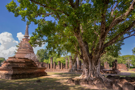 Wat Chang Lom, is a Buddhist temple complex (wat) in Sukhothai Historical Park, Sukhothai Province in the Northern Region of Thailandの写真素材