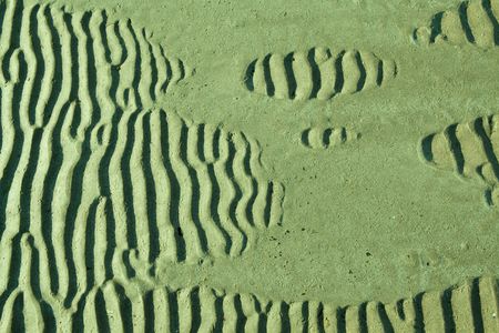 ripples in the sandの写真素材