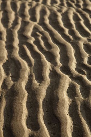 sand ripples on the beach creating nice linear patternの写真素材