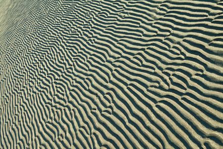 sand ripples on a beach creating nice linear patternsの写真素材