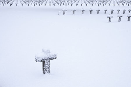 crosses and trees at WW2 military graveyard covered in snowの写真素材