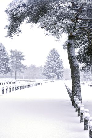 crosses and trees at WW2 military graveyard covered in snowの写真素材