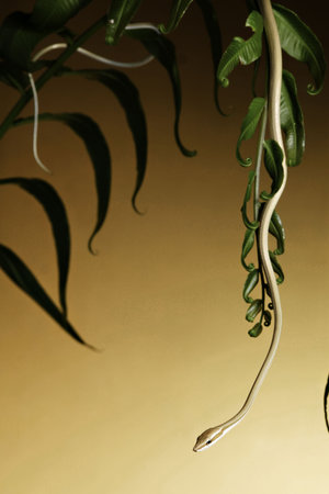 green tree snake crawling down tropical rain forest vegetation yellow background with gradient and...