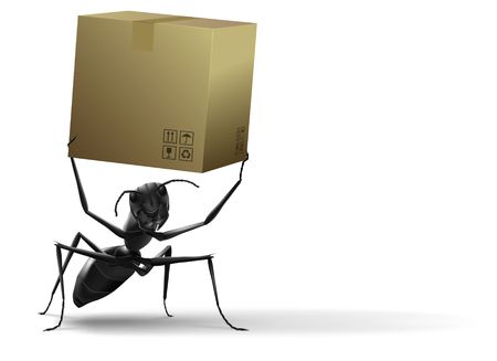 ant lifting cardboard box black insect white background isolated delivery shippingの写真素材