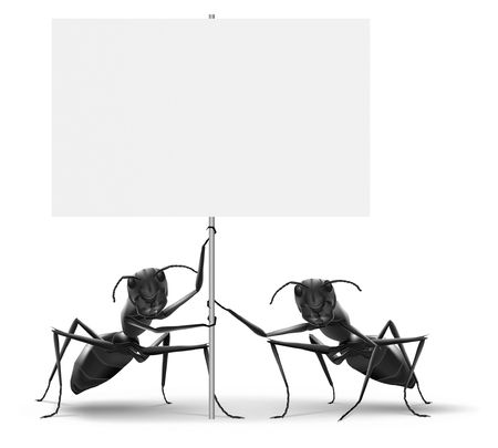 ants holding protest or advertising placard message ad or advertising billboard isolated on white backgroundの写真素材