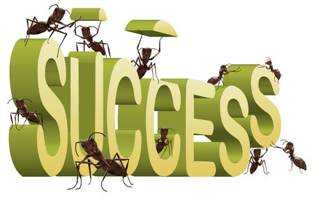 success successful building create your own fortune ants working to build 3D word isolated on whiteの写真素材