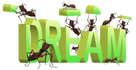 ants building  word dreamの写真素材