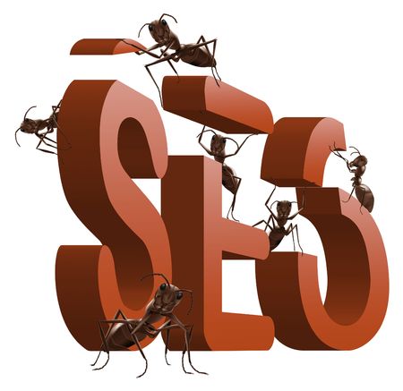 search engine optimazation seo red word build by ants isolated on white backgroundの写真素材
