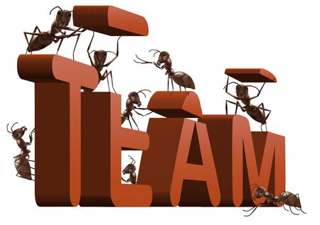 ant team building or team working 3D word created or under construction by antsの写真素材