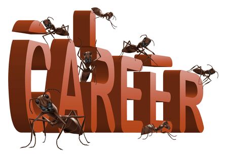 career building get a job promotionの写真素材