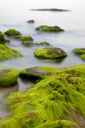 Big boulders at Irish coast covered with green seaweed long exposure makes seawater look like mystery foggの写真素材