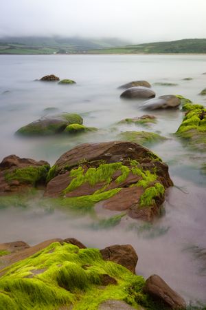 Big boulders at Irish coast covered with green seaweed long exposure makes seawater look like mystery foggの写真素材