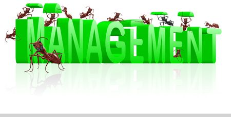 management organize your organisation leadershipの写真素材