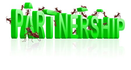 partnership alliance cooperation corporation building partners work togetherの写真素材
