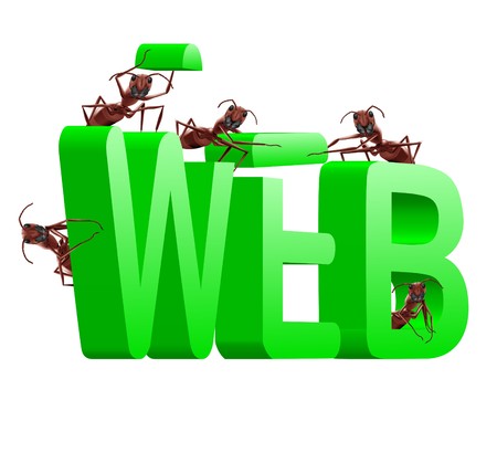web website internet site under construction ants building word wwwの写真素材