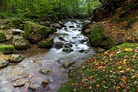 autumn stream or small river with small rapid and fallen leafs long exposure results in smooth surfaceの写真素材