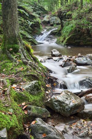 autumn stream or small river with small rapid and fallen leafs long exposure results in smooth surfaceの写真素材