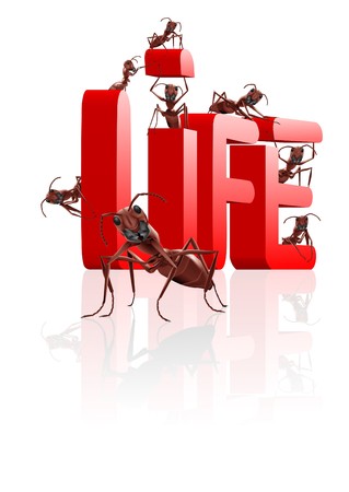 ants building word life concept for living and expeience lifestyleの写真素材