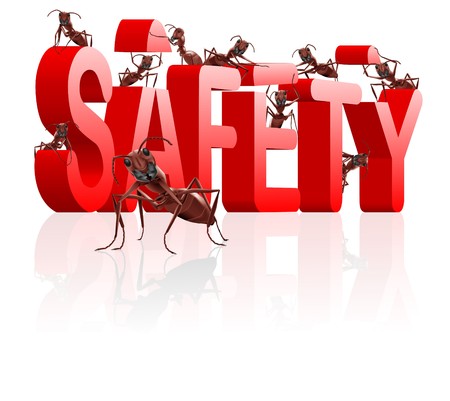 ants building safety secure protect and safe vlues or privacyの写真素材