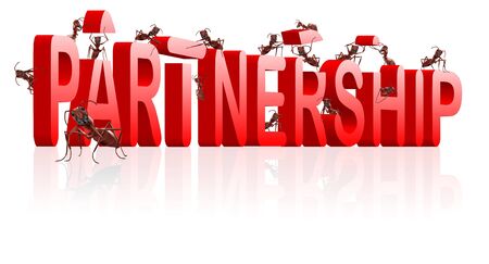 partnership alliance cooperation corporation building partners work togetherの写真素材