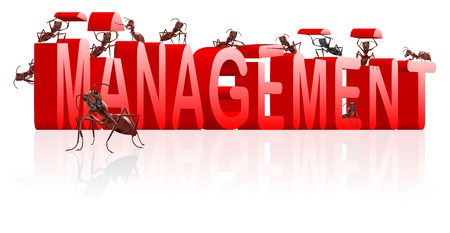 management organise your organisation leadershipの写真素材