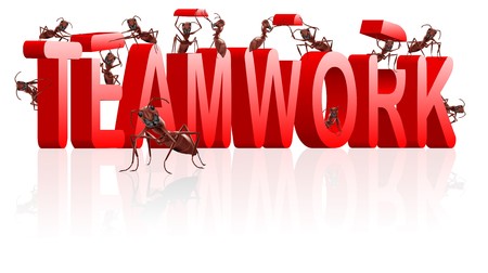 teamwork ants cooperation and collaboration in building wordの写真素材