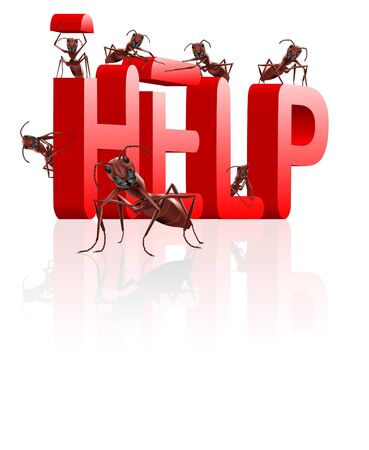 help word building by ants helpdesk find informationの写真素材