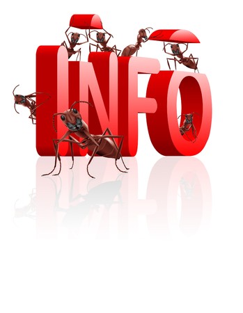 ants gathering info or information learn and educate knowledgeの写真素材