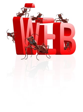 web website internet site under construction ants building word wwwの写真素材
